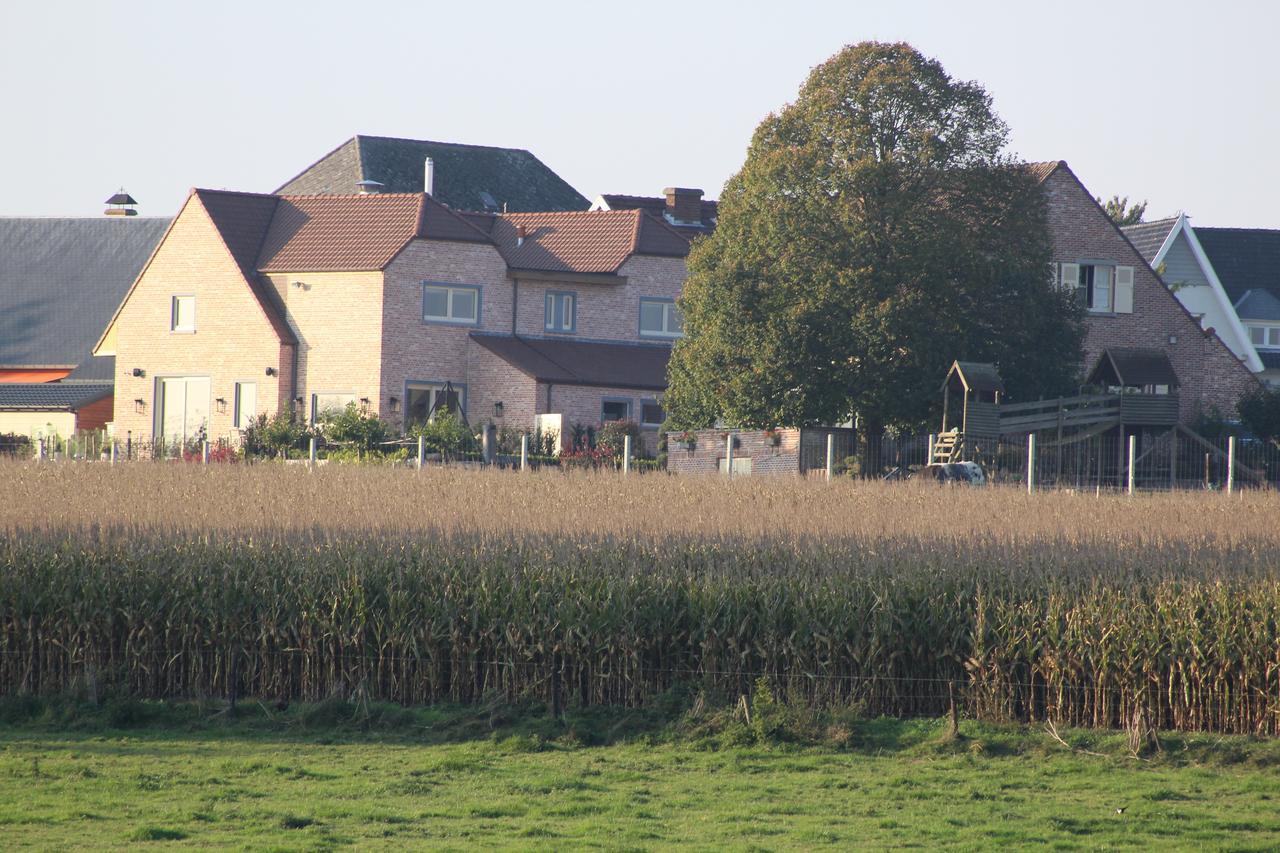 Cafcauter Bed and Breakfast Sint-Pieters-Kapelle  Exterior foto