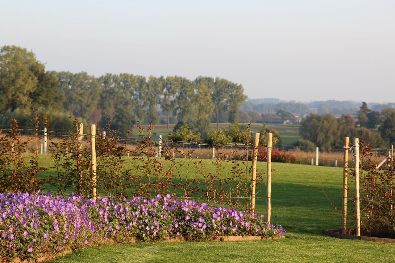 Cafcauter Bed and Breakfast Sint-Pieters-Kapelle  Exterior foto